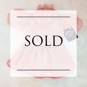 SOLD** Pink Sheer Ruffled Dog Dress Youly Small